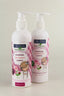 Calidou DUO PACK - Shampoo - Charmante (2 x 250 ml) Charmante.